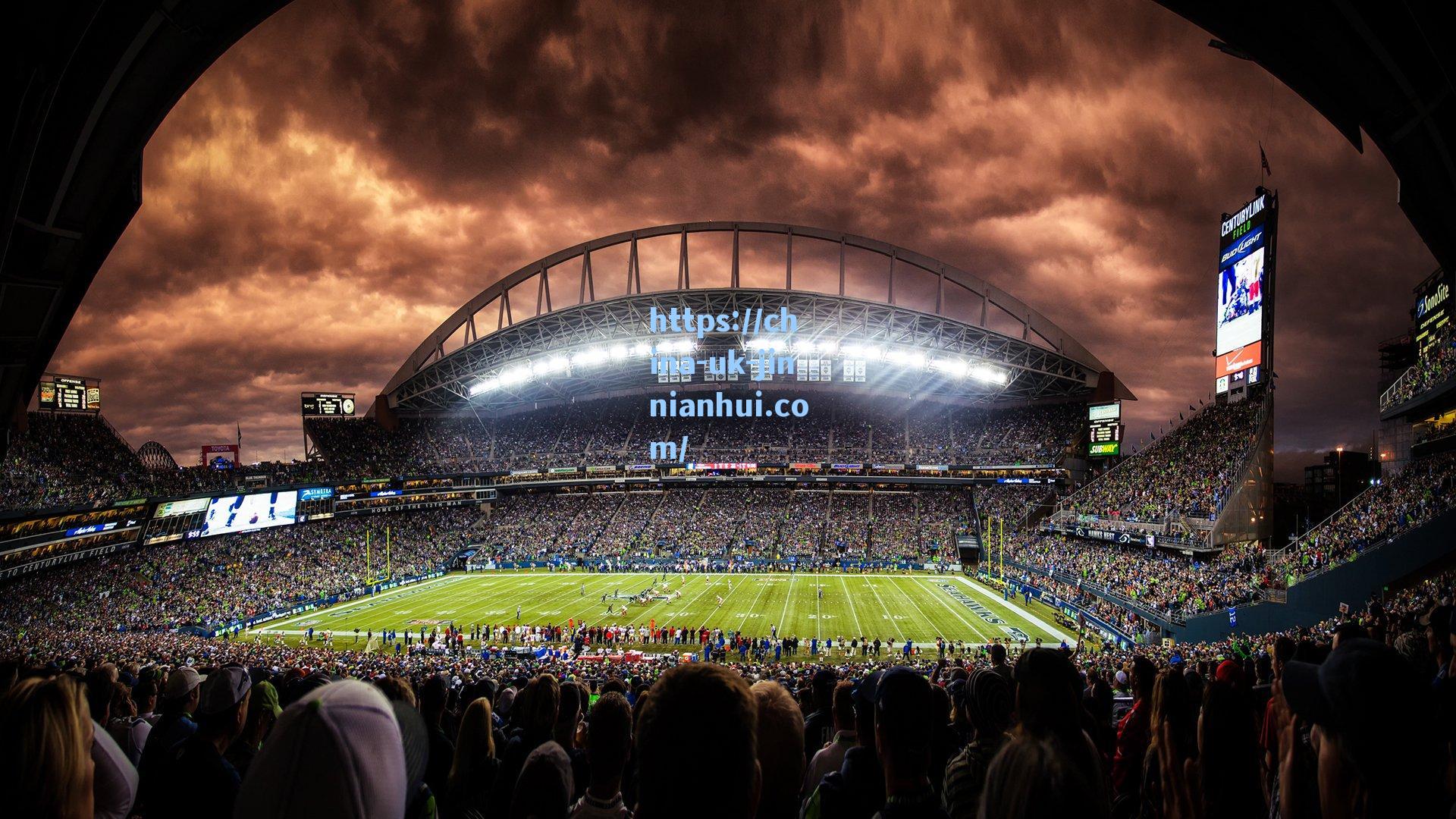 掘金记者,约基奇还需一名替补中锋 霍福德会是最佳选择